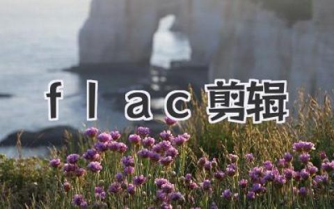 FLAC剪辑攻略：新手也能快速上手，无损音质自由裁，打造你的专属音乐库！
