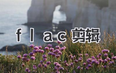 flac剪辑