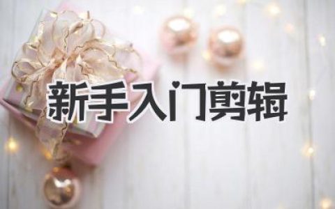 新手入门剪辑