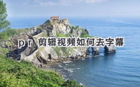 pr剪辑视频如何去字幕