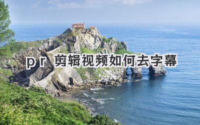 pr剪辑视频如何去字幕