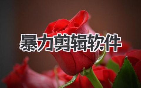 告别卡顿！精选暴力剪辑软件，效率提升不止一点点，让你的视频创作飞起来！