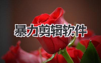暴力剪辑软件