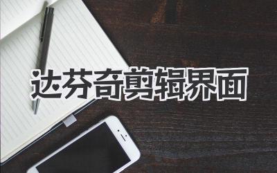 达芬奇剪辑界面