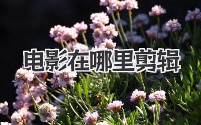 电影在哪里剪辑
