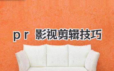 pr影视剪辑技巧