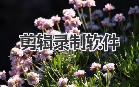 剪辑录制软件