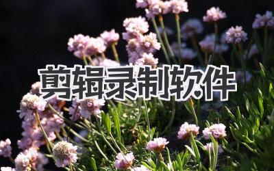 剪辑录制软件