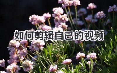 如何剪辑自己的视频