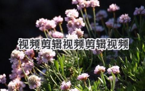 我的日常：视频剪辑视频剪辑视频那些事
