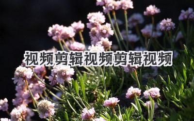 视频剪辑视频剪辑视频
