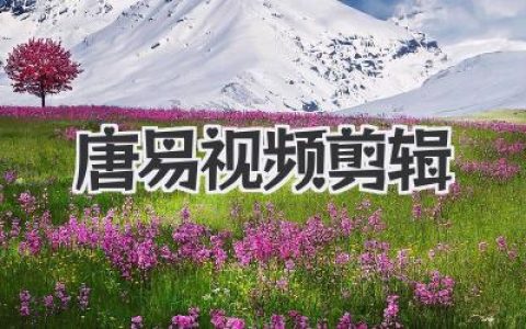 唐易视频剪辑