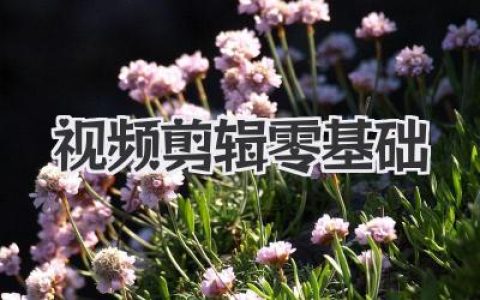 视频剪辑零基础