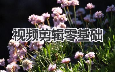 视频剪辑零基础