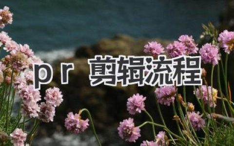 Premiere Pro高效剪辑流程详解：打造精彩视频的完整PR剪辑流程指南