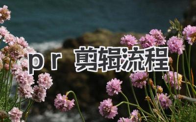 pr剪辑流程