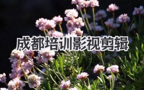 成都培训影视剪辑：从零基础到就业，选对机构少走弯路！