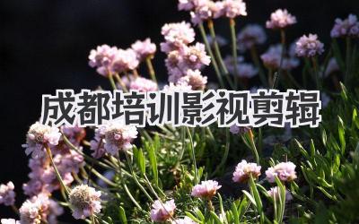 成都培训影视剪辑