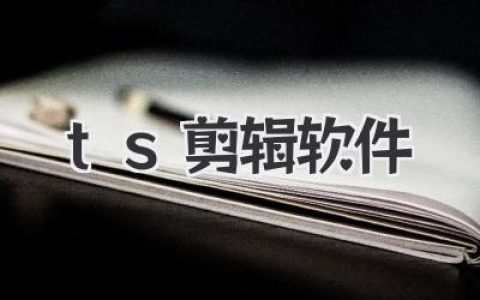高效TS剪辑软件推荐：快速剪辑、无损画质，轻松编辑TS视频文件，新手也能快速上手！