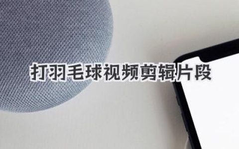精彩打羽毛球视频剪辑片段：燃爆你的运动细胞，看高手过招，学实用技巧！
