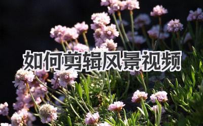 如何剪辑风景视频