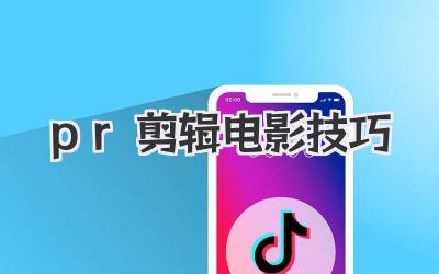 pr剪辑电影技巧