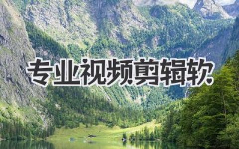 精选！2024最强专业视频剪辑软件推荐：告别卡顿，新手也能轻松上手！