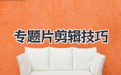 专题片剪辑技巧