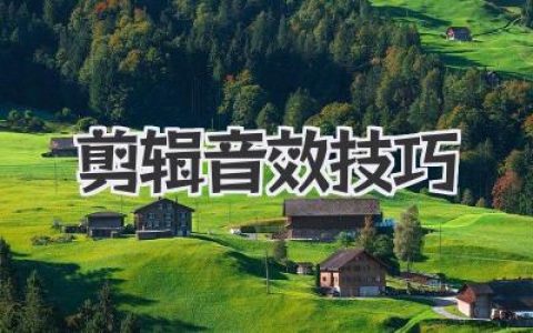剪辑音效技巧