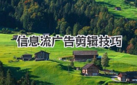 信息流广告视频剪辑技巧：爆款创意速成，高效引流转化秘籍，让你的广告脱颖而出！