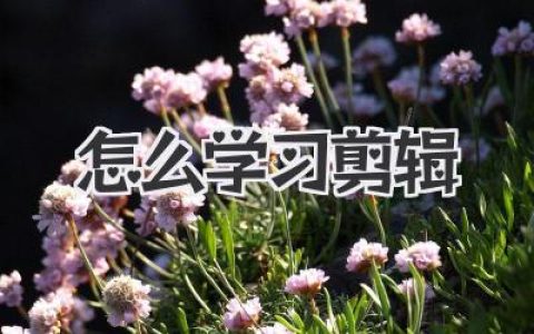 视频剪辑怎么学入门？零基础快速上手视频剪辑技巧