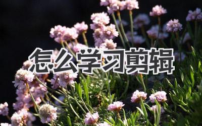 怎么学习剪辑