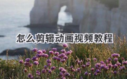 怎么剪辑动画视频教程
