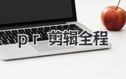 pr剪辑全程