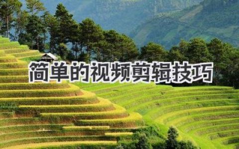 高效掌握简单的视频剪辑技巧，小白也能快速入门出片！