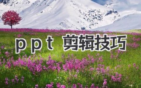 PPT剪辑技巧大揭秘：打造专业演示文稿，PPT美化与视频剪辑技能提升指南