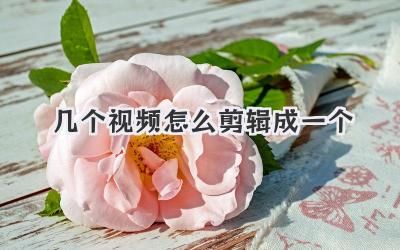 几个视频怎么剪辑成一个