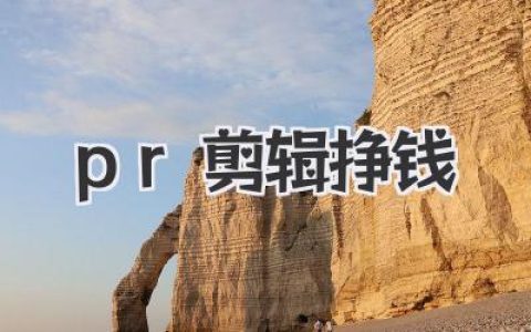 学会PR剪辑挣钱有多爽？手把手教你接单变现搞副业