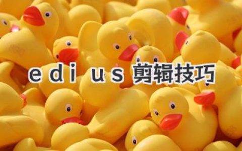edius剪辑技巧：告别蜗牛速，效率狂飙秘籍分享