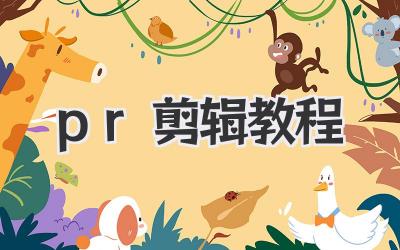 pr2020剪辑教程