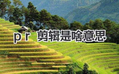 pr剪辑是啥意思