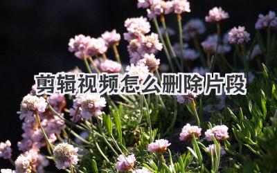 剪辑视频怎么删除片段