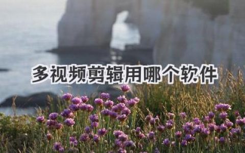 多视频剪辑用哪个软件？骨灰级玩家吐血整理，小白也能秒懂！