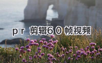 pr剪辑60帧视频