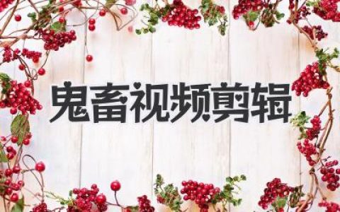 鬼畜视频剪辑从入门到疯癫：解构素材的艺术与哲学