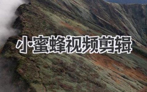 揭秘小蜜蜂视频剪辑，小白逆袭大神的全方位实战指南！
