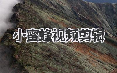 小蜜蜂视频剪辑