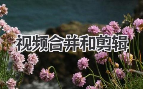 玩转视频合并和剪辑：新手入门到高手进阶的实用秘籍
