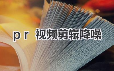 pr视频剪辑降噪