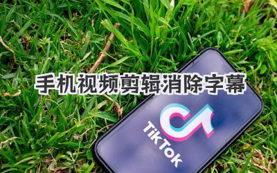 手机视频剪辑消除字幕
